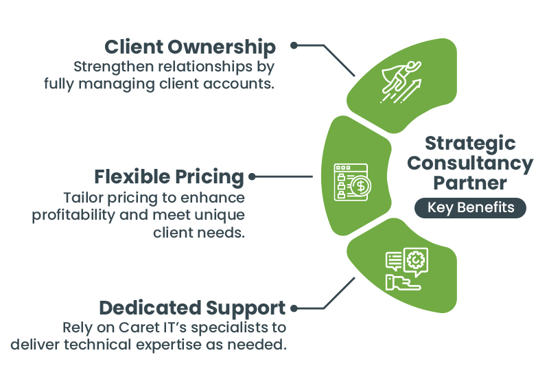 Strategic Consultancy Partner